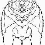 urso pardo desenho para colorir1