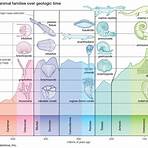 geological history of earth wikipedia4