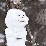 washington state university wikipedia free images search winter snow4