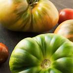 german green tomato4