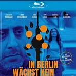 In Berlin wächst kein Orangenbaum Film1