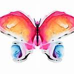 farfalle colorate1