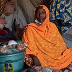 are climate shocks becoming more common in the central sahel mountains3