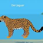 jaguar raubtier2
