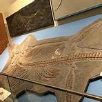 Why should you visit the Royal Ontario Museum?3