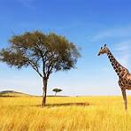 most popular attractions in africa4