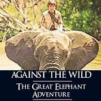 Phoenix Wilder and the Great Elephant Adventure Film4