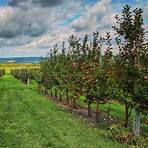 gourmet carmel apple orchard new york state 2020 calendar2