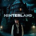 Hinterland movie3