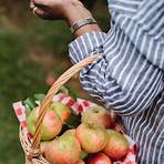 gourmet carmel apple orchard & market san diego4