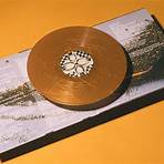 santogold vinyl1