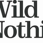 Wild Nothing3