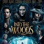 into the woods ganzer film2