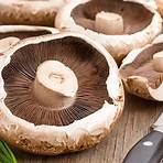 tipos de cogumelos comestíveis2