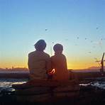 harold and maude quotes2