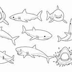 tiburón dibujo blanco y negro4