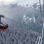 is there a peak 2 peak gondola in whistler pa2