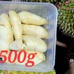 durian mpire by 717 trading1
