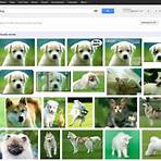 bing images search google images3