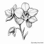 elmore winfrey images printable black and white flowers1