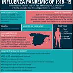 the great influenza of 19183