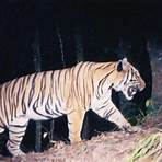 List of Tiger2