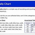 define tally chart4
