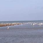walvis bay flamingo lagoon5