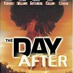 The Day After Peace filme2