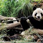 The Panda's Thumb: More Reflections in Natural History5