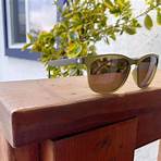 bread box polarized sunglasses review1