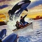 watch the movie free willy 1 4 dvd cover1