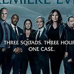 Law & Order Season 133
