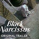 black narcissus (tv series) movie streaming1