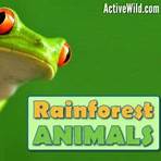 tropical rainforest animals names1