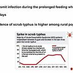 scrub typhus ppt presentation2
