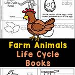 night time define life cycle for kids worksheets1
