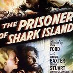 The Prisoner of Shark Island5
