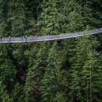 lynn canyon suspension bridge vs capilano suspension bridge1