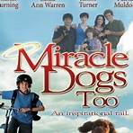 Miracle Dogs filme1
