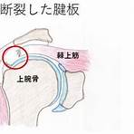 金秘書為何那樣2