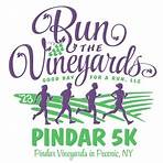 pindar winery3