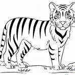 desenhos de tigres3