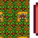 did berry have a second pregnancy in stardew valley1