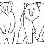 urso pardo desenho para colorir2