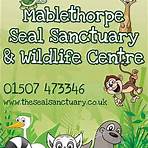 mablethorpe seal sanctuary and wildlife centre website page1