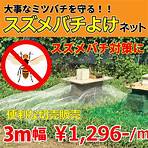 giant hornet species4