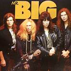 Mr. Big (American band)2