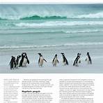 what kind of books are published by penguin species and share3