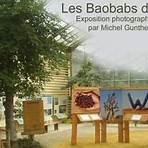 baobab info2